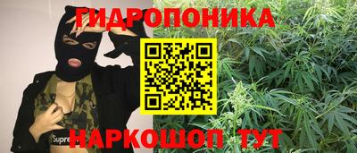 дмт Бузулук