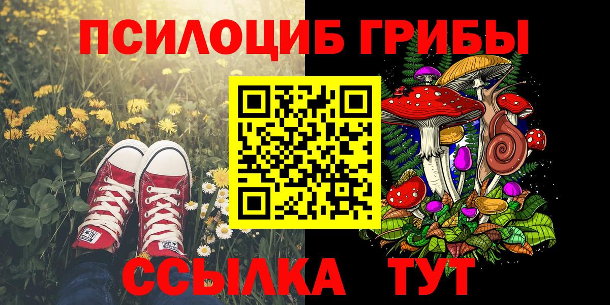 Псилоцибиновые грибы Magic Shrooms Сальск