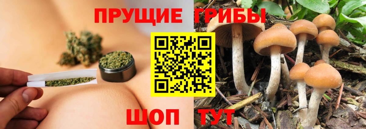 Сальск  Галлюциногенные грибы ЛСД  Вход с VPN  Псилоцибиновые грибы MAGIC MUSHROOMS 